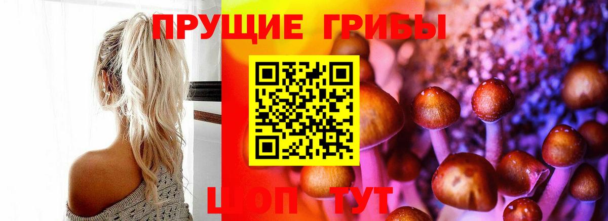 Псилоцибиновые грибы Psilocybine cubensis  Вход с VPN  Батайск 